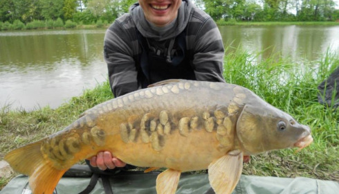 A carp from Jonchery 7, May 2013