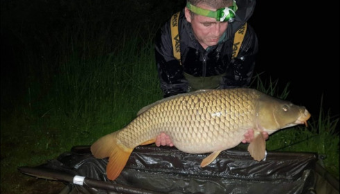 A carp from Jonchery 7, May 2019
