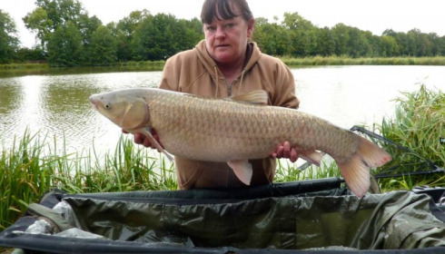 A grass carp from Jonchery 7, Sep 2013