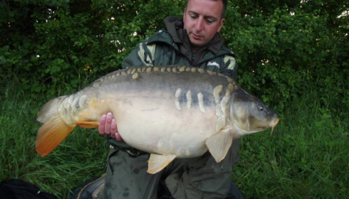 A carp from Jonchery 7, Jun 2013