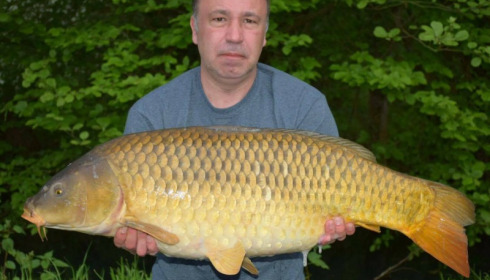 A carp from Jonchery 7, May 2017