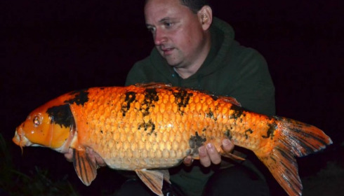 A carp from Jonchery 7, Sep 2013