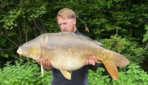 A carp from Jonchery 7, Jun 2023