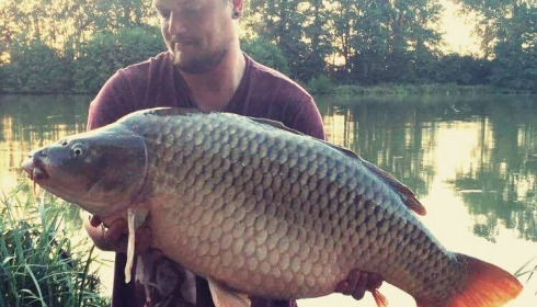 A carp from Jonchery 7, Aug 2016