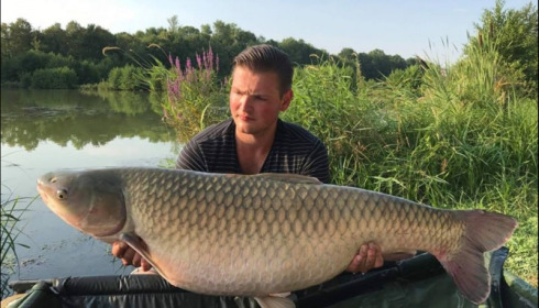 A grass carp from Jonchery 7, Jul 2018