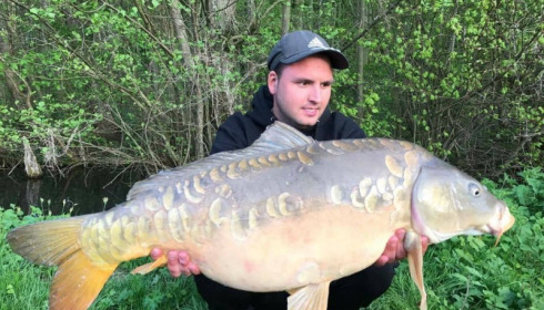 A carp from Jonchery 7, Apr 2017