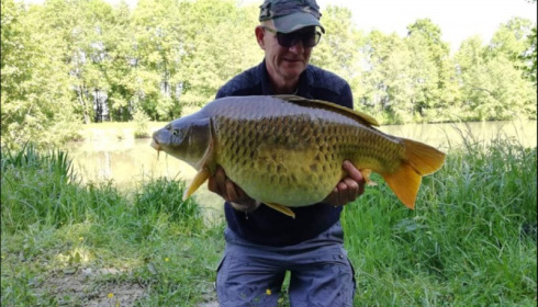 A carp from Jonchery 7, May 2019