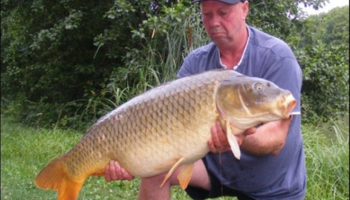 A carp from Jonchery 7, Aug 2019