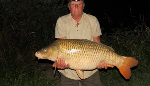 A carp from Jonchery 7, Aug 2018