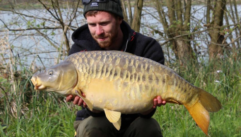 A carp from Jonchery 7, Apr 2017