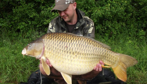 A carp from Jonchery 7, Jun 2013