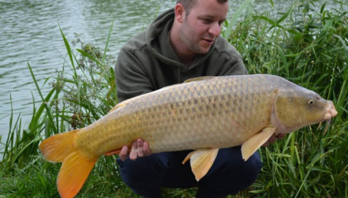 A carp from Jonchery 7, May 2014