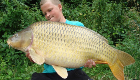 A carp from Jonchery 7, Aug 2013