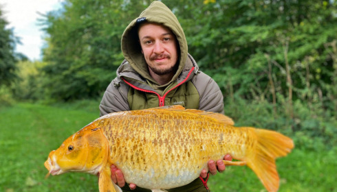 A carp from Jonchery 7, Oct 2021