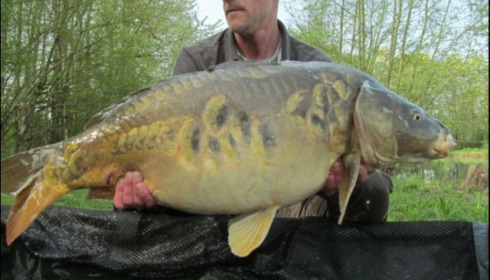 A 30 lb 14 oz carp from Jonchery 7, Christopher Savage, Apr 2019