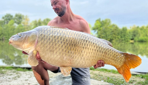 A carp from Jonchery 7, Aug 2022