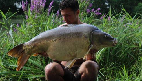 A carp from Jonchery 7, Sep 2016
