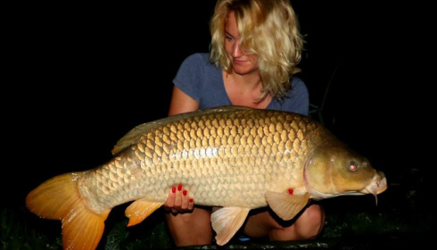 A carp from Jonchery 7, Aug 2019
