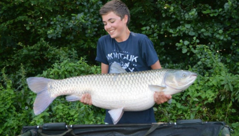 A carp from Jonchery 7, Aug 2014