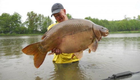 A carp from Jonchery 7, May 2013