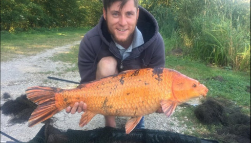 A carp from Jonchery 7, Jul 2018