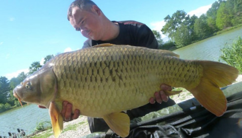 A carp from Jonchery 7, May 2014