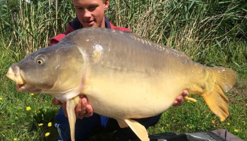 A carp from Jonchery 7, Aug 2015