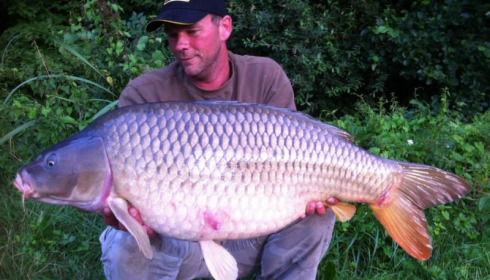 A carp from Jonchery 7, Aug 2014