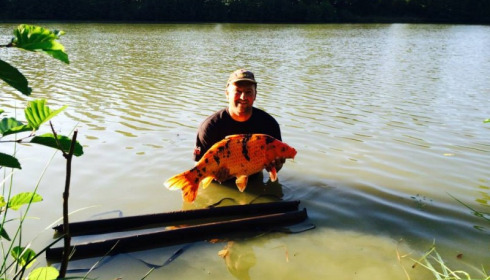 A carp from Jonchery 7, Sep 2014