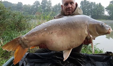 A carp from Jonchery 7, Sep 2016