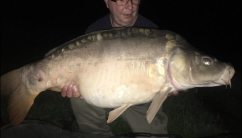 A carp from Jonchery 7, May 2019