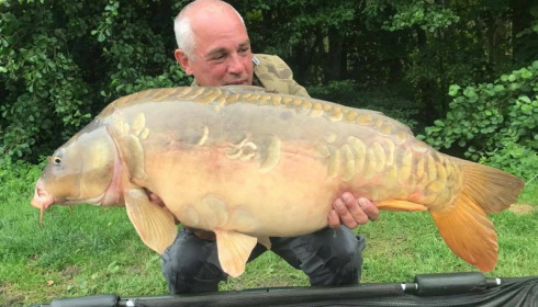 A carp from Jonchery 7, Jul 2017