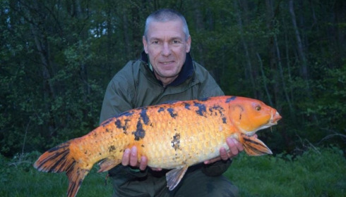 A carp from Jonchery 7, May 2016