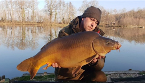 A carp from Jonchery 7, Mar 2019
