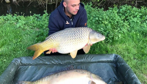A carp from Jonchery 7, Apr 2017