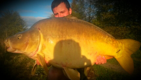 A 48 lb 6 oz carp from Jonchery 7, Thomas Lawlor, Nov 2014