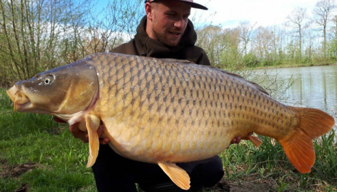 A carp from Jonchery 7, Apr 2018