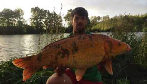 A carp from Jonchery 7, Sep 2015