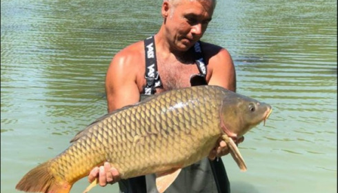 A carp from Jonchery 7, Jun 2018