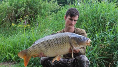 A carp from Jonchery 7, Sep 2016