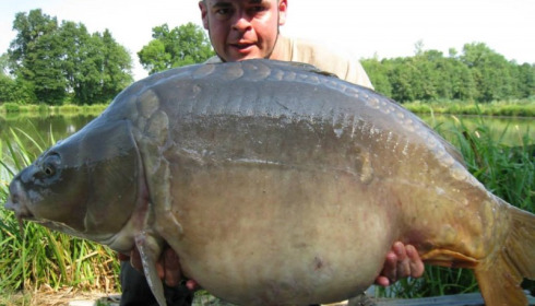 A carp from Jonchery 7, Jul 2013