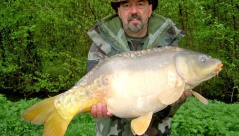 A carp from Jonchery 7, Apr 2013