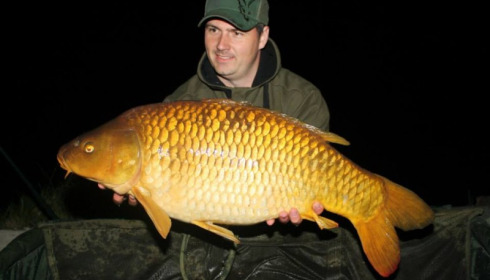 A carp from Jonchery 7, Apr 2014