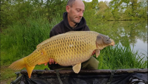A carp from Jonchery 7, May 2019