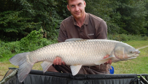 A carp from Jonchery 7, D Gillett, Sep 2016