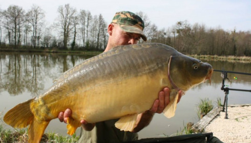 A carp from Jonchery 7, Apr 2014