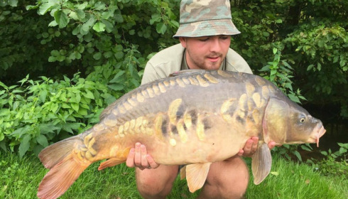 A carp from Jonchery 7, Sep 2017