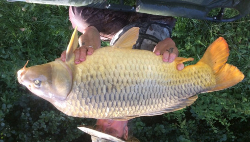 A 30 lb 6 oz carp from Jonchery 7, Danny Oliver, Sep 2015