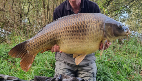 A fish from Jonchery 7, Oct 2022