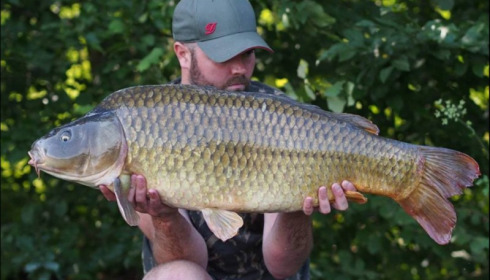 A carp from Jonchery 7, Jul 2018